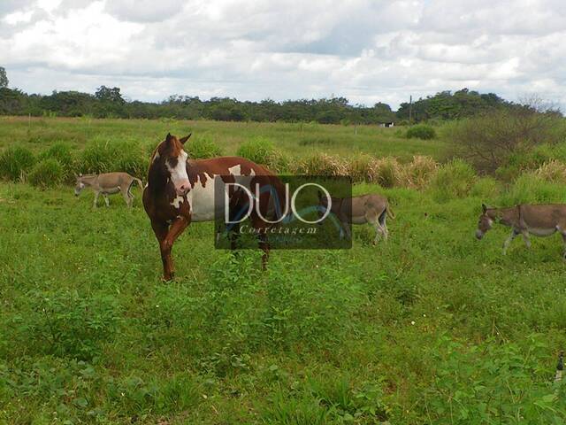 Área para Venda em São Gonçalo do Amarante - 5